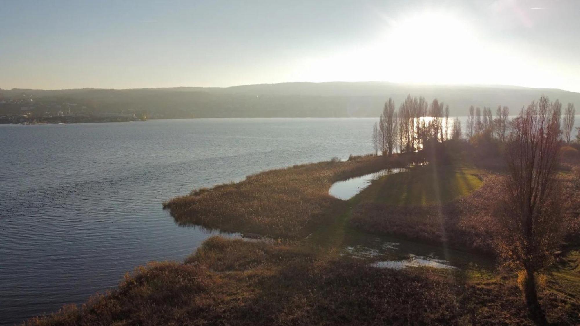 רייכנאו Seeluft Direkt Am Wasser מראה חיצוני תמונה