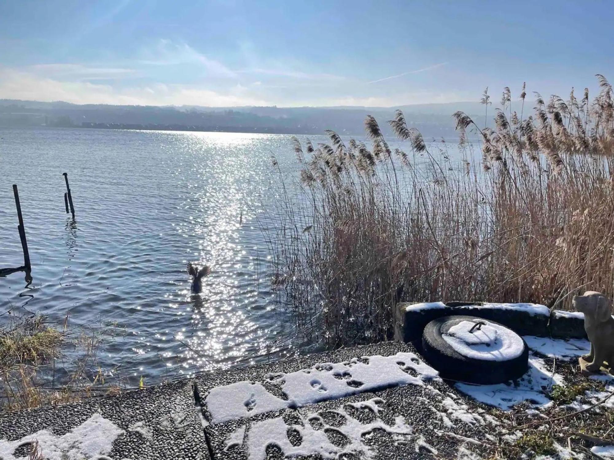 רייכנאו Seeluft Direkt Am Wasser מראה חיצוני תמונה